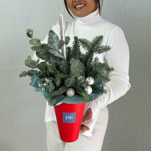 Комплимент из нобилиса