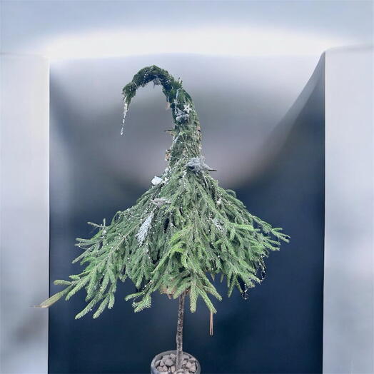 Трендовая елка на стройной ножке