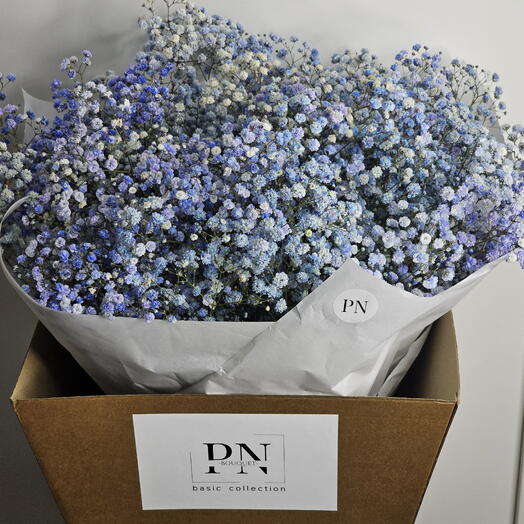 Букет из гипсофилы