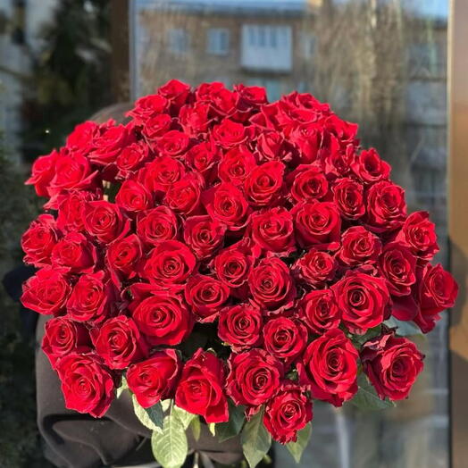 101 свежая красная роза