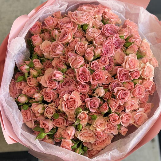 Spray rózsák 130 bimbó