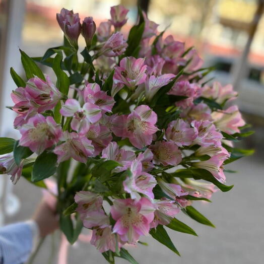 15 альстромерией