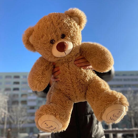 Медведь плюшевый дымка