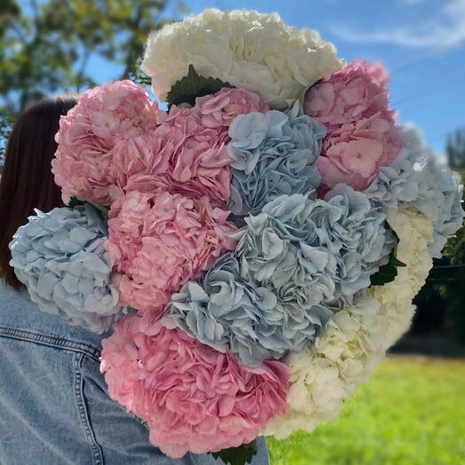 A magnificent armful of hydrangeas