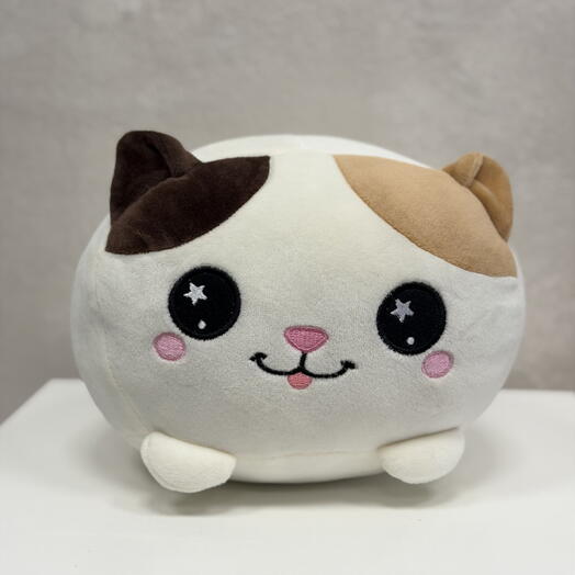 🐱 Pretty Kitty