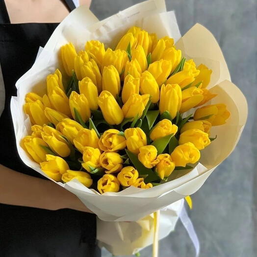 Yellow tulips 50 stems
