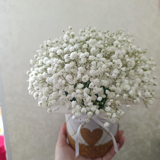 Композиция из гипсофилы