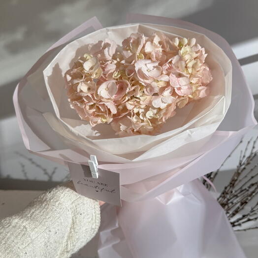 Гортензия в стильной упаковке 🌸