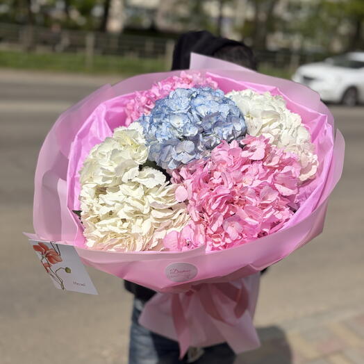 Букет из воздушных гортензий ( микс)