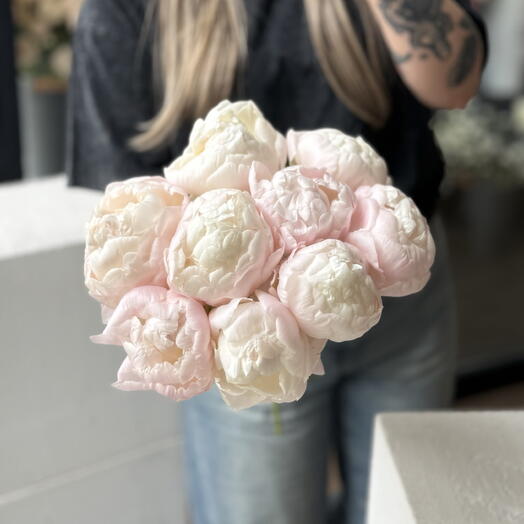 Шикарные крупные пионы под ленту 9 штук PEONY113
