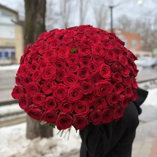 101 алая роза 🌹
