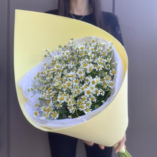 Букет из 9 кустовых ромашек