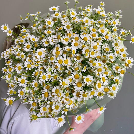 Букет кустовых ромашек