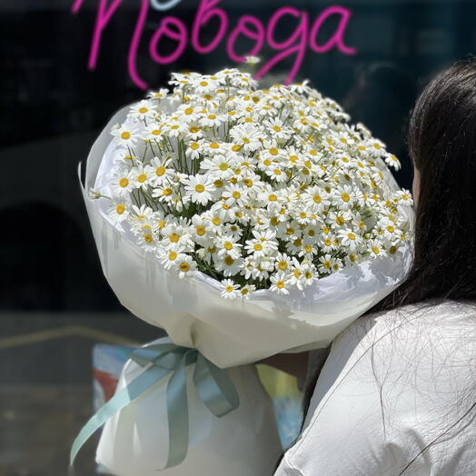 Моно букет «Ромашковое поле»