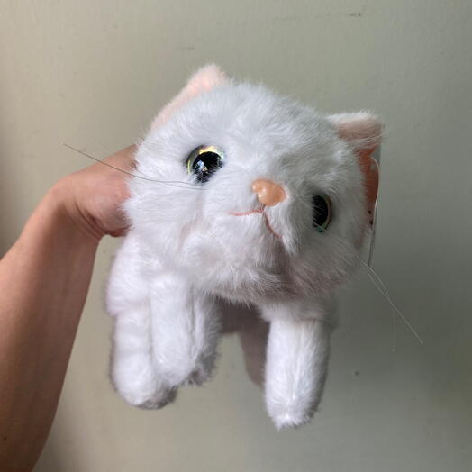 Котенок