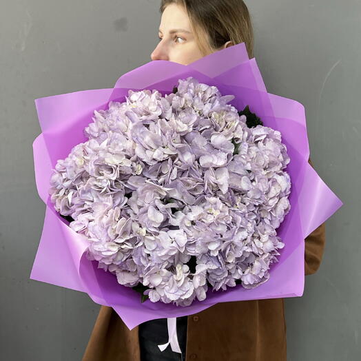 Лавандовая гортензия 7 шт 💜
