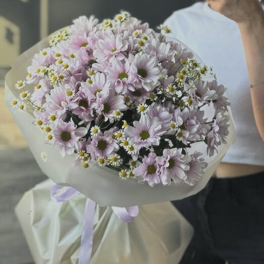 Розовые ромашки 🌸