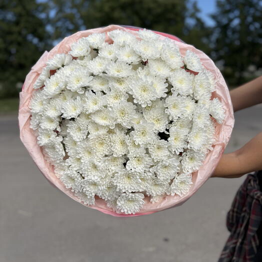 21 шикарная хризантема