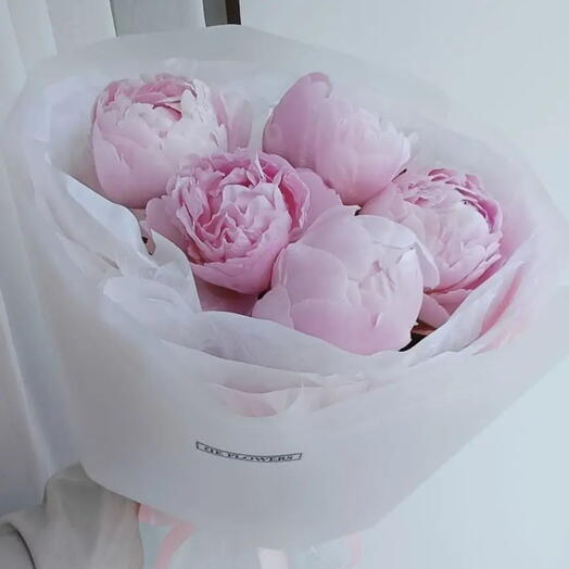 Нежные пионы 🌸 ароматные