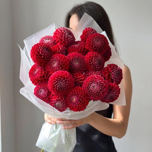 Георгины красные 19 😍