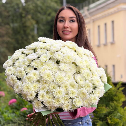 Букет из 25 кремовых кустовых хризантем в дизайнерской упаковке