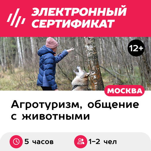 Подарочный сертификат Индивидуальная VIP-прогулка с волком, 1-2 чел. (5 часов) (Московская область)