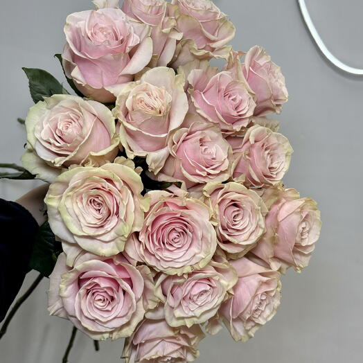 Пышный букет из 15 роскошных французских роз Пинк Мондиаль 💕