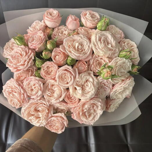 light pink spray roses