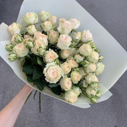Кустовые розы Summerrose💛