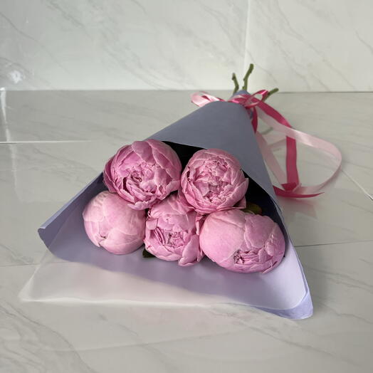 Пионы розовые, Сара Бернар 5 штук