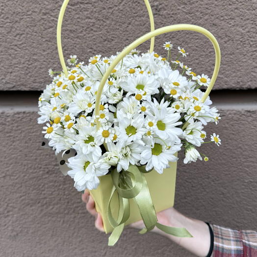 Сумочка хризантема ромашка