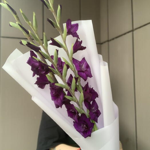 Букет из 3 фиолетовых гладиолусов