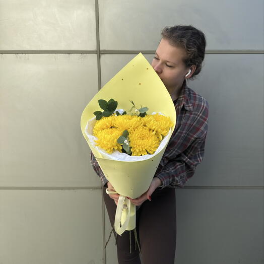 Хризантема Одноголовая 5 шт + сладкий подарок 🎁