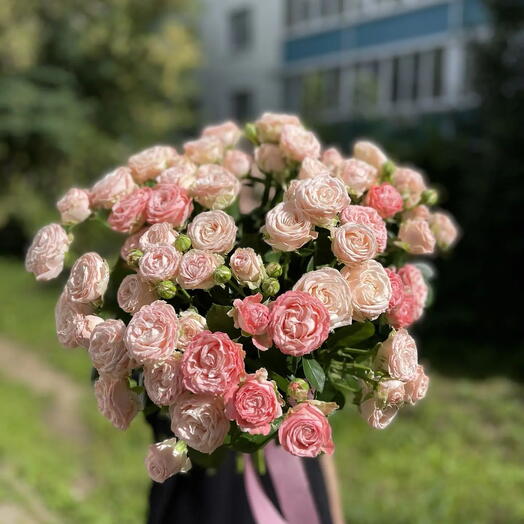 15 кустовых роз 50см миксом под ленту