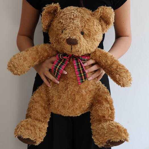 TEDDY CLASSIC