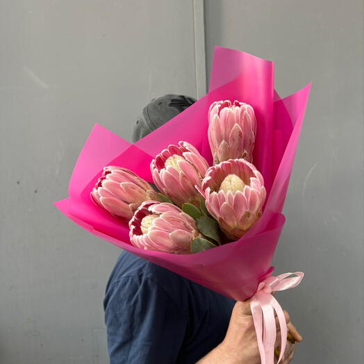 Протея в яркой упаковке 🌺