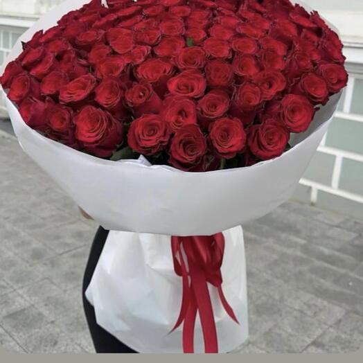 Red rose 🌹