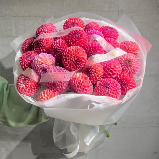 Berry Dahlia