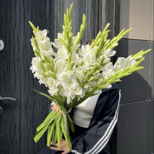 Гладиолусы