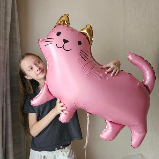 Шар кошечка розовая , кошка, котенок розовый гламурный с гелием-1шар