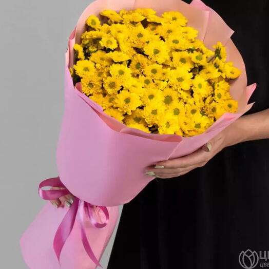 Желтые хризантемы сантини