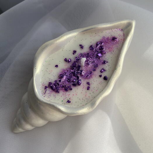 мини ракушка 💜🐚