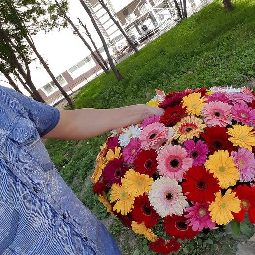 Герберы Микс