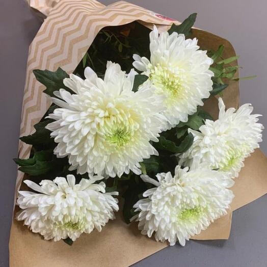 Chrysanthemum Ball