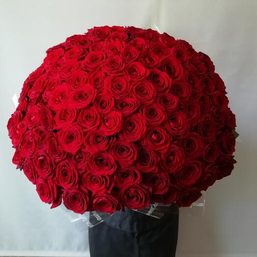 Rosa roja