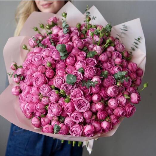 51 rosas arbustivas