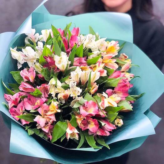 Alstroemeria Mix