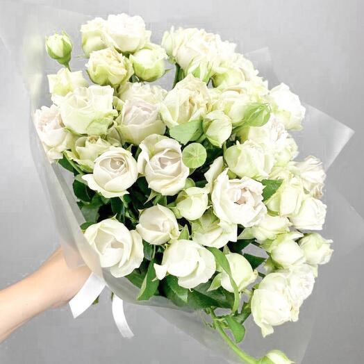 Bush roses