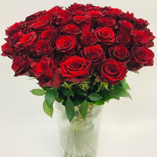 Rosa Ecuador
