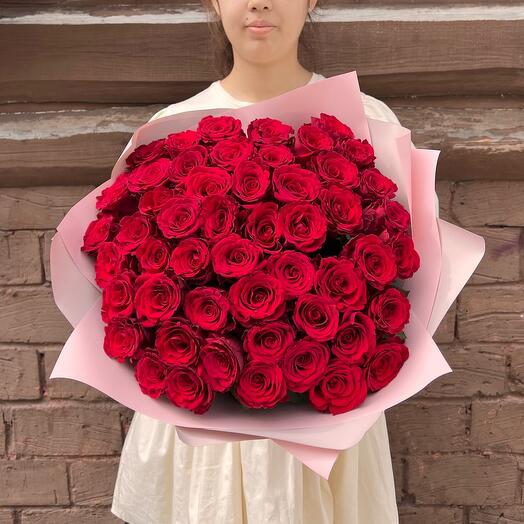 51 rosa holandesa roja